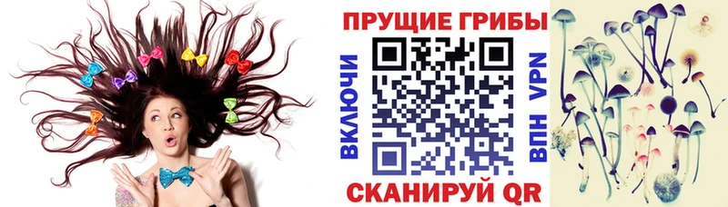 Псилоцибиновые грибы GOLDEN TEACHER  Навашино 